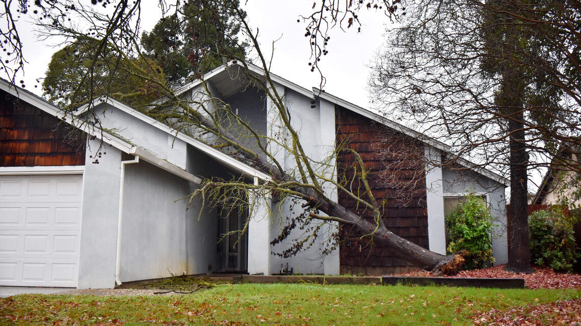 Windy storm brings power outages in Modesto CA area | Modesto Bee